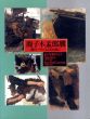鹿子木孟郎展　師ローランスとの出会い/のサムネール