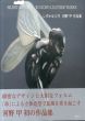 しずかな八月　河野甲作品集/河野甲のサムネール