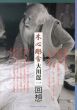 木心彫舎　大川逞一回想/大川逞一/吉田千鶴子/五味美里/村田哲朗/青木茂/伊藤由美/丹尾安典/三好寛佳のサムネール
