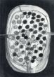 田中敦子ドローイング　Atsuko Tanaka: Drawing/のサムネール