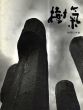 樹氣　砂澤ビッキ展/砂澤ビッキのサムネール