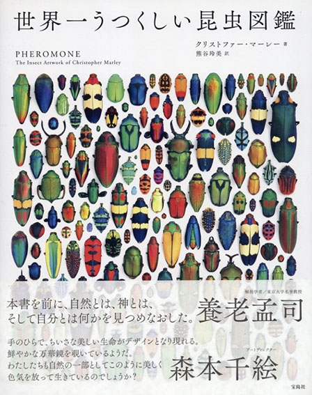 世界一うつくしい昆虫図鑑 ／クリストファー・マーレー　熊谷玲美訳