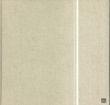 武蔵野美大80周年　絵の力　絵の具の魔術/山口薫/諏訪敦/前田常作/赤塚祐二/櫃田伸也/小林孝宣/小林正人ほか収録のサムネール