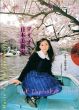 マリオ・A　日本美術家/亜真里男　市原研太郎解説のサムネール