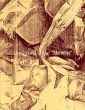 マニエラの交叉点　版画と映像表現の現在/のサムネール