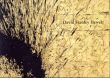 デビット・スタンリー・ヒューエット David Stanley Hewett/のサムネール
