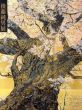 後藤純男展/のサムネール