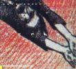 Vladimir Borojevic: Replay/のサムネール