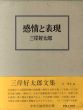感情と表現/三岸好太郎のサムネール