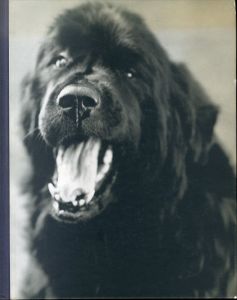 ブルース・ウェーバー写真集　Bruce Weber: Gentle Giants: A Book of Newfoundlands/Bruce Weberのサムネール