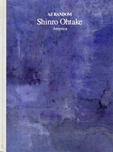 大竹伸朗　Shinro Ohtake: America Art Random1/都築響一編のサムネール
