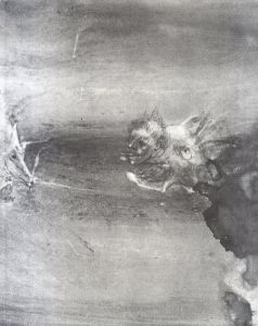 横尾龍彦画集　幻の宮/横尾龍彦のサムネール