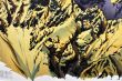 穂高黎明　蝶ヶ岳より