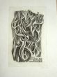 蔵書票　Exlibris2