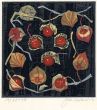 「鬼灯　花物語二月」