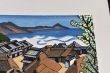 「こぶし（太海）　花物語三月」