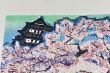 「桜（弘前）　花物語四月」