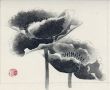 画稿