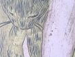 E市のM・イヤーマフと猫