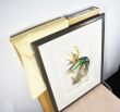 作品