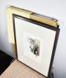 作品