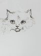 作品