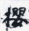 古都のさくら