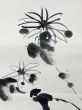 夏目漱石画賛幅「菊之画」