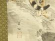 猛乕