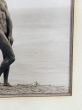 Male Nude
