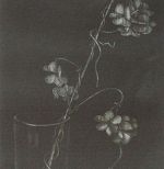 丹阿弥丹波子[Tannami Niwako] | Bohemian's Gallery：現代アート