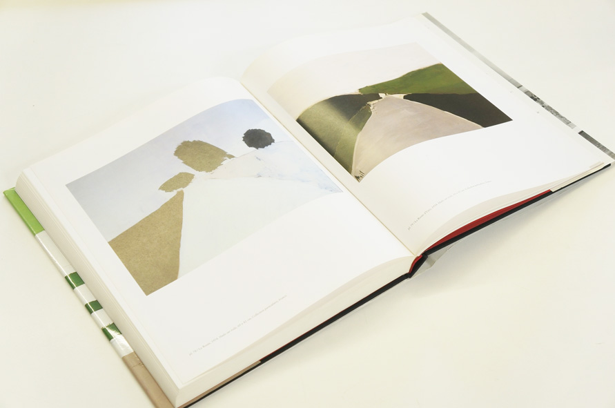 Stael 仏語版 Daniel Dobbels 1994 画家 アート・デザイン・音楽
