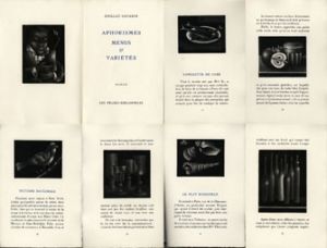 Aphorisms, Menu et Varietes　アヴァチ銅版画集/Mario Avati, ; Brillat-Savarinのサムネール