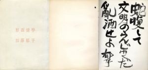 形而情学/加藤郁乎