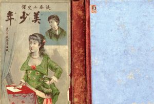 美少年/黒岩涙香訳のサムネール