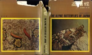 高山蝶　The Alpine Butterflies of Japan/田淵行男のサムネール