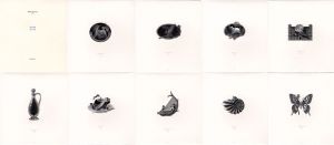 Nine Nuts　柄沢斎版画集/柄沢斎のサムネール