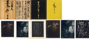 黒馬に新しい日を　特製版/小川国夫著　池田満寿夫挿画のサムネール