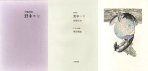 絵次元　彷徨引力　野中ユリ画集/野中ユリ