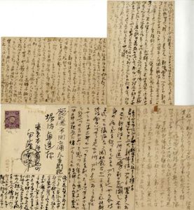 伊藤左千夫葉書5枚/