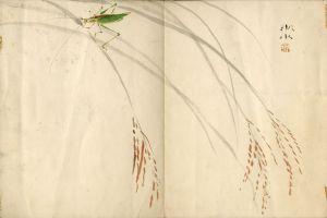 杉浦非水画稿「『鐘影集』表紙絵」/杉浦非水