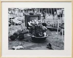 荒木経惟プリント額「Ai No Hana」/Nobuyoshi Arakiのサムネール