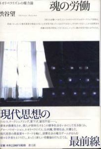 魂の労働　ネオリベラリズムの権力論/渋谷望
