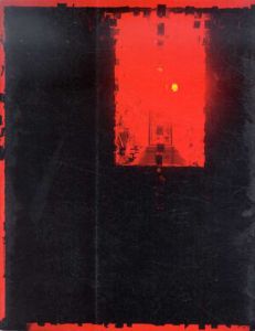 大竹伸朗　網膜　Shinro Ohtake: Retina/大竹伸朗