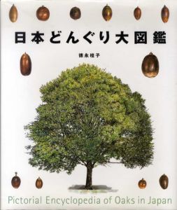 日本どんぐり大図鑑/徳永桂子