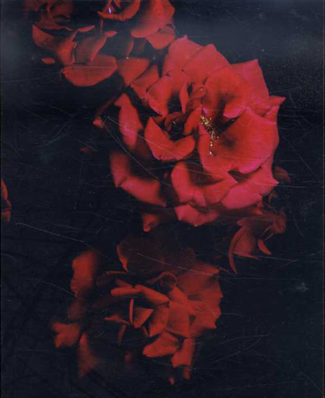 ★VISIONAIRE 40★ヴィジョネア★DAVID SIMS ROSES★ VISIONAIRE 40 ROSES DAVID SIMS