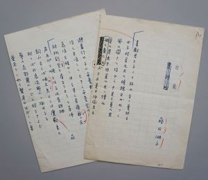 藤田湘子句稿　「白面」ペン書400字詰2枚完/のサムネール