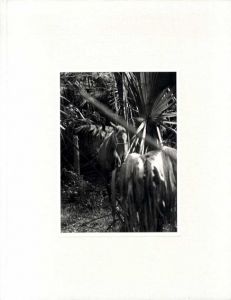 ロー・アスリッジ写真集　Farewell Horse/Roe Ethridge