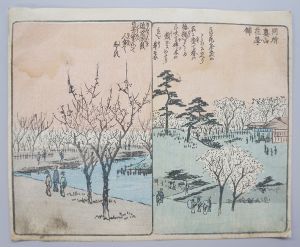 安藤広重木版画「奥山花屋舗」二図　江戸期元版「江戸土産」より/のサムネール