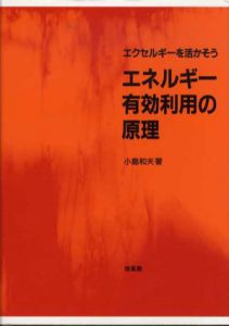 エネルギー有効利用の原理　エクセルギーを活かそう/小島和夫